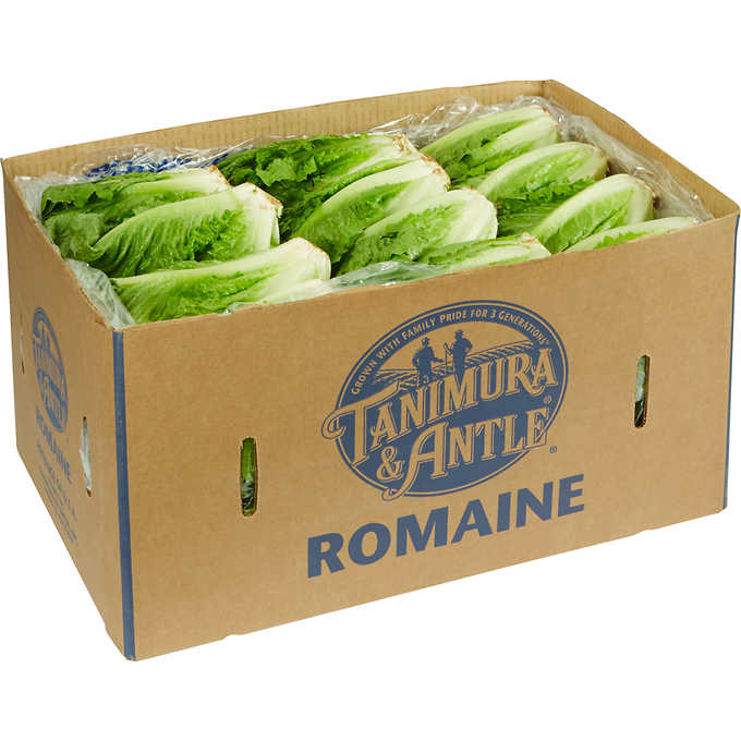 fruit box vegetable carton packaging